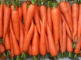 Вибір насіння моркви
