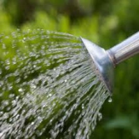 В Ізюмі встановлено норми витрат та використання води на полив присадибних ділянок без приладів обліку води