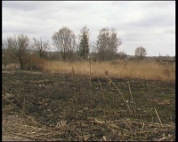 На Харьковщине горит мусор и сухая трава