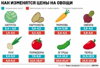 Что будет в Украине с ценами на овощи в ближайшие недели
