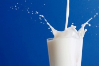 Антибиотики и кишечная палочка: 70% молока из харьковских супермаркетов не соответствует стандартам