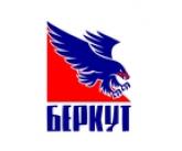 В Киеве хоккейная команда "Беркут-2" сменила название из-за событий на Евромайдане