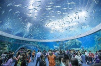 В Китае открылся самый большой в мире океанариум 