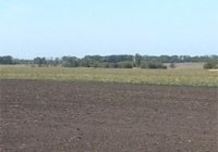 Нововведения от Минагрополитики. В Украине отменяется продажа сельхозземель
