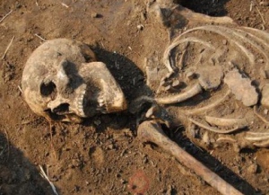 В Краснооскольском водохранилище на территории пгт. Боровой был обнаружен скелет.