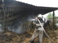 Балаклійський район: пожежею знищено 22 тони грубих кормів