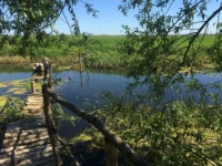 Минулого тижня на водоймах Харківщини загинула дитина, ще одна була врятована