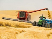 В Харьковской области намолотили более 1 млн. тонн зерна