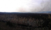 Ізюмський район: рятувальники ліквідували пожежу на полі кукурудзи