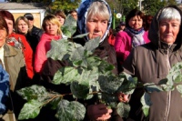 Жители Купянска митинговали против вредного производства 