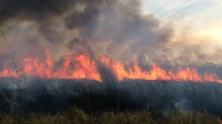 На Ізюмщині 5 пожеж за добу