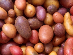 Як виростити хороший урожай картоплі