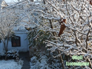 В Ізюмі випав перший сніг