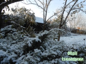 В Ізюмі випав перший сніг