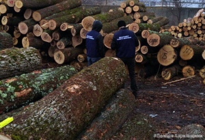 Працівники поліції вилучили на Харківщині лісової продукції на суму 800 тисяч гривень